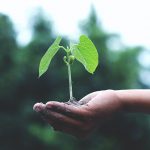 Right Gauging: Thong Guan helps you achieve sustainability goals and lower your TCO
