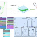 Recycled Plastics in Food Packaging: A Study Image Summary